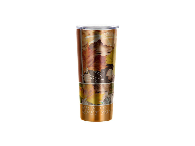 Sublimation 22oz/650ml Stainless Steel Tumbler (Silver)