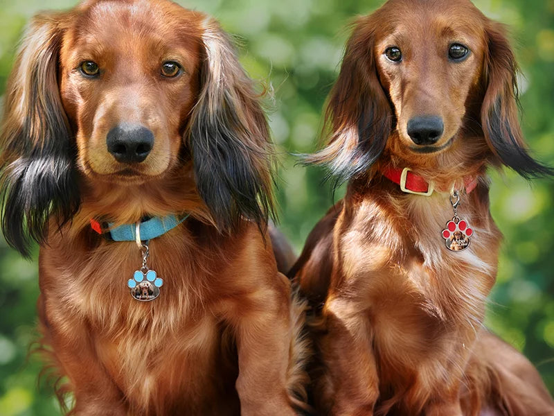 Sublimation Dog Tag Blanks (Red Footprint, 3.3*3.5cm)