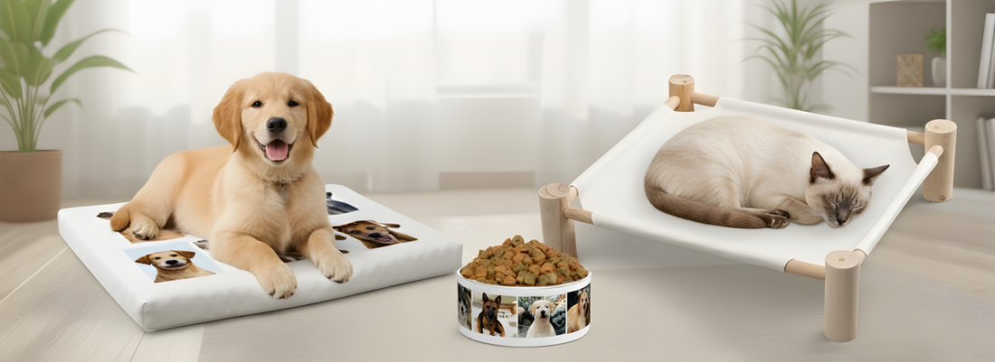 🐾 Personalized Comfort for Your Pets: Sublimation Blank Pet Pads & Beds