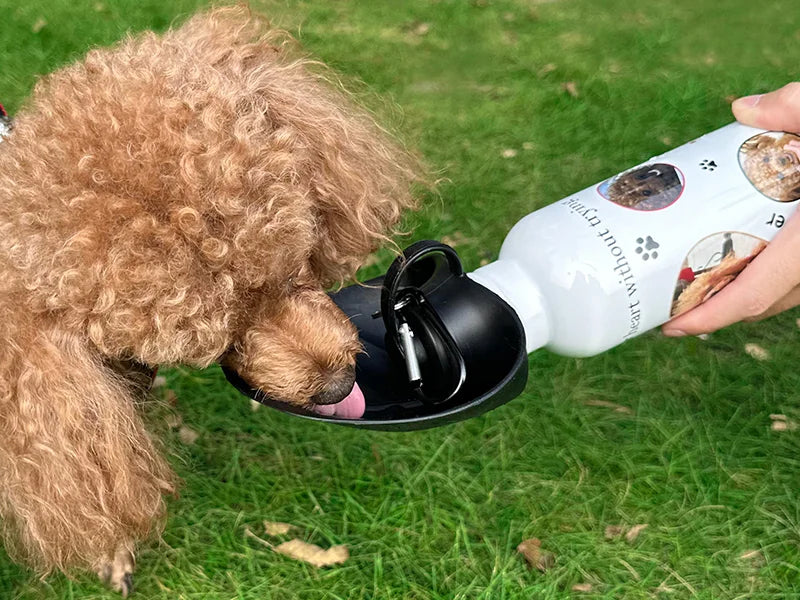 Sublimation Blanks 20oz/600ml White Stainless Steel Portable Pet Water Bottle Dispenser