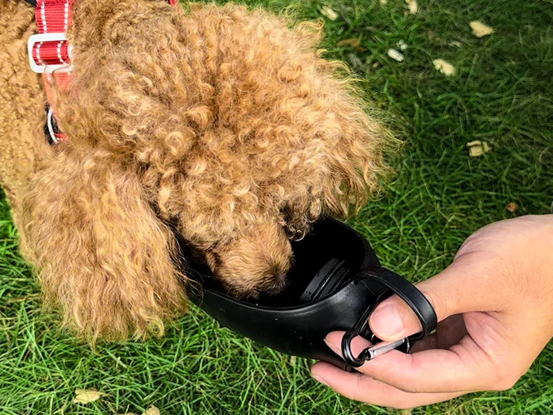 Sublimation Blanks 20oz/600ml White Stainless Steel Portable Pet Water Bottle Dispenser