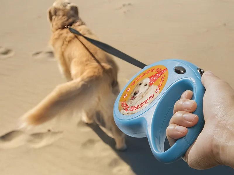 5m Blue Pet Leash w/ Aluminum Insert