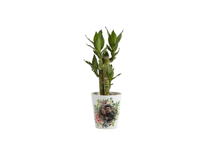 Sublimation 12oz Cone Shape Ceramic Flowerpot