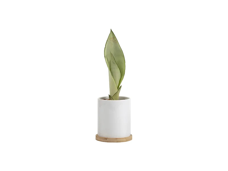 Sublimation 11oz Ceramic Flowerpot with Bamboo Base