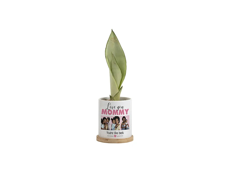 Sublimation 11oz Ceramic Flowerpot with Bamboo Base