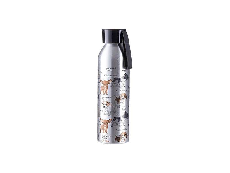 Sublimation Blanks 22oz/650ml Portable Sports Slim Aluminum bottle With Black Cap(Silver)