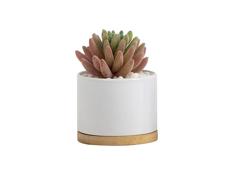 Sublimation Small Ceramic Plant Pot with Bamboo Base