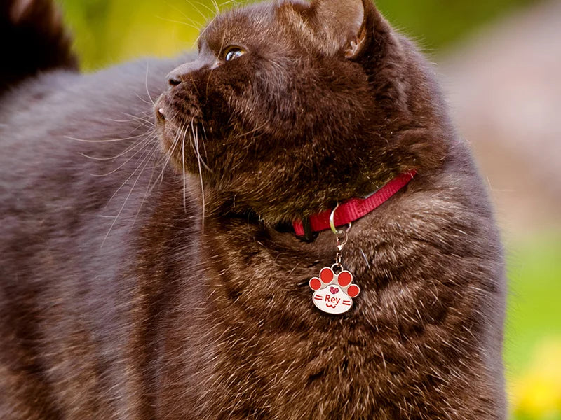 Sublimation Dog Tag Blanks (Red Footprint, 3.3*3.5cm)