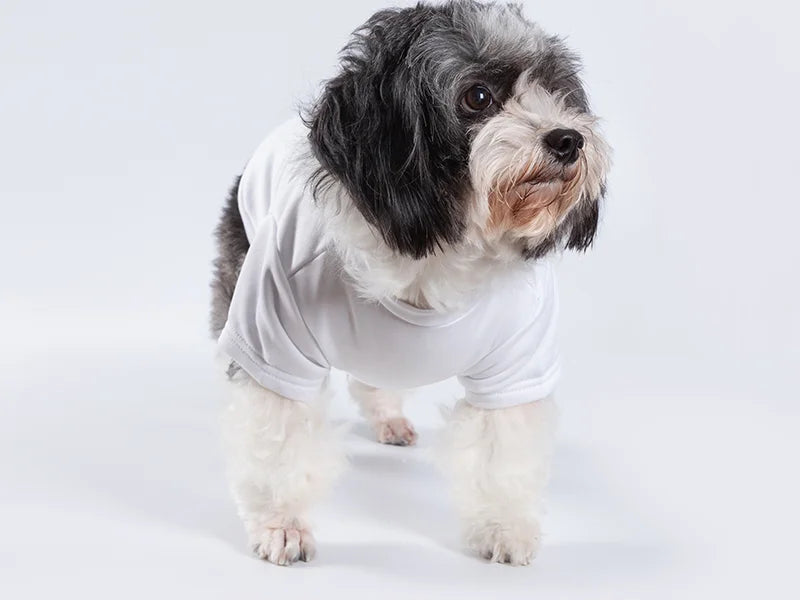 Sublimation Blank Dog T-Shirt (White)