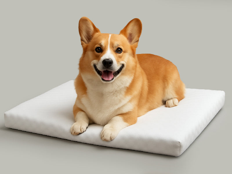 Sublimation Blank Microfiber Pet Pad with Non-slip Bottom