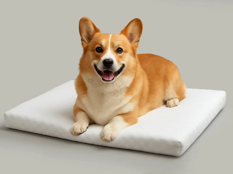 Sublimation Blank Microfiber Pet Pad with Non-slip Bottom