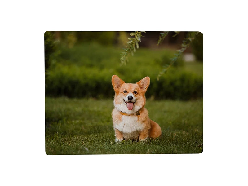 Sublimation Plastic Fridge Magnet (Rect, 5*9cm)