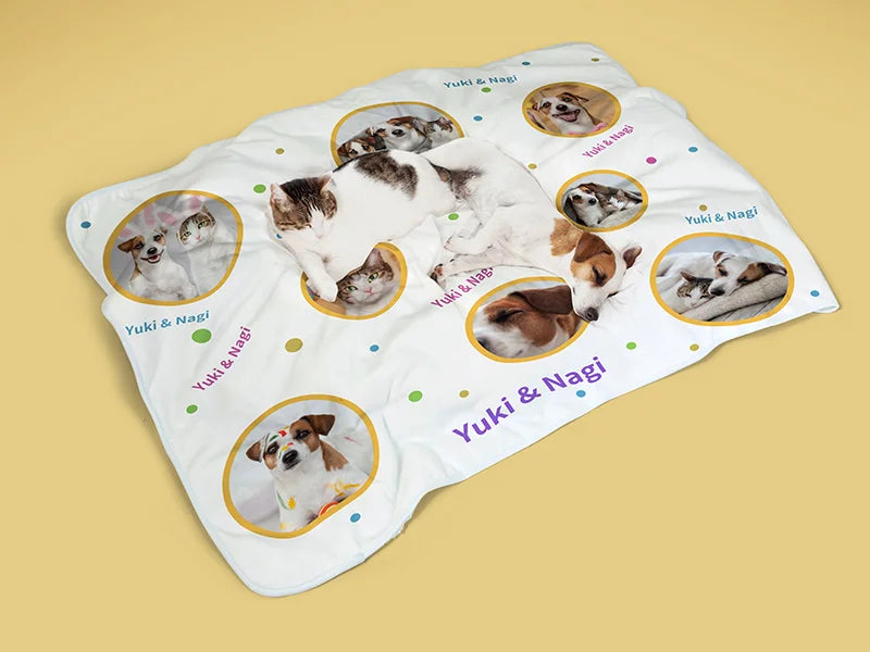 Arctic Fleece Lined Sublimation Blanks Microfiber Pet Blanket (76*101cm/29.9inchx39.76inch)