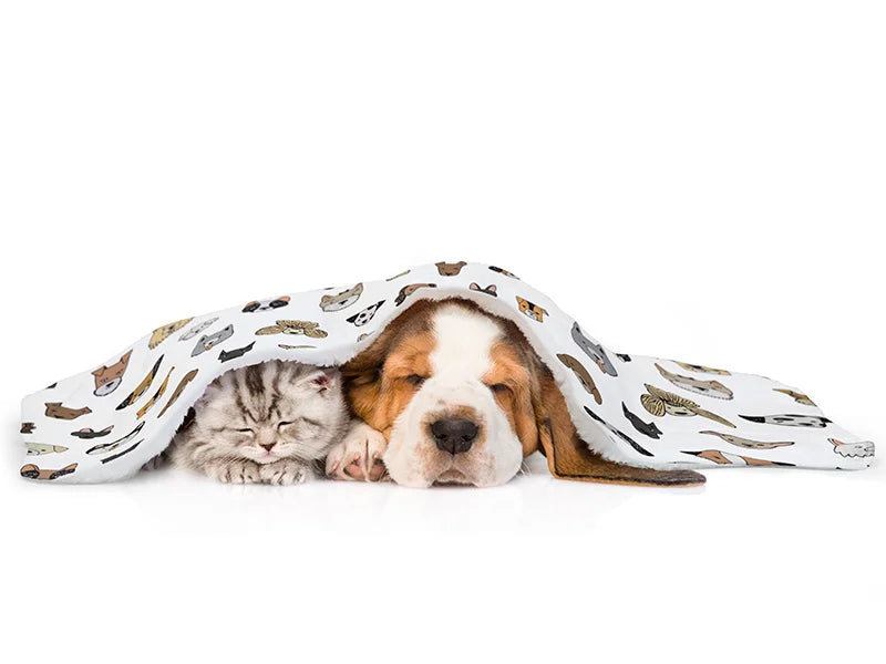Arctic Fleece Lined Sublimation Blanks Microfiber Pet Blanket (50*76cm/19.68inchx29.9inch)