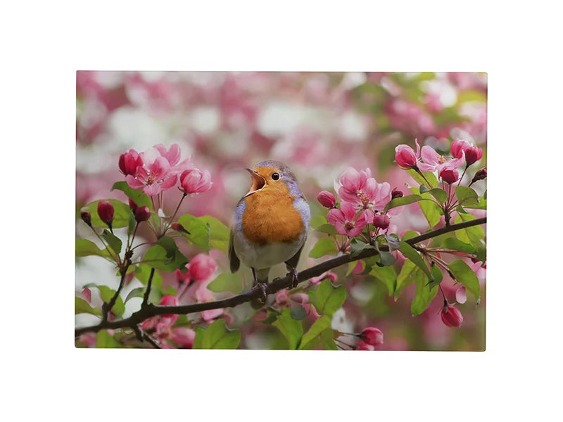 Sublimation Glass Frame (30.48*40.64*0.3cm,12inch*16inch*0.12inch)