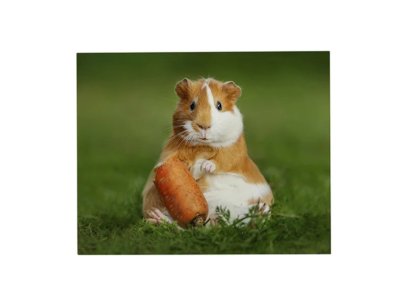 Sublimation Glass Frame (40.64*50.8*0.3cm,16inch*20inch*0.12inch)