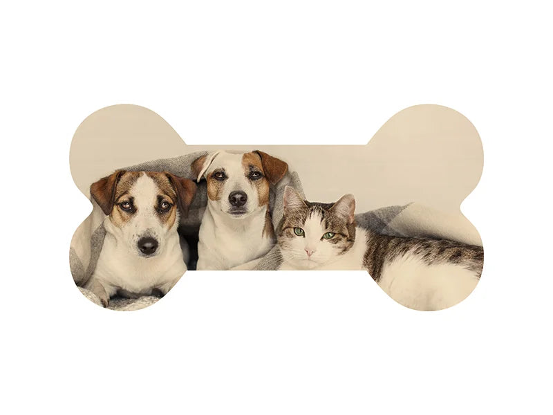 Sublimation Blanks Bone Shaped Plywood Sign w/ Stripes (25.4*12.7*1.5cm)